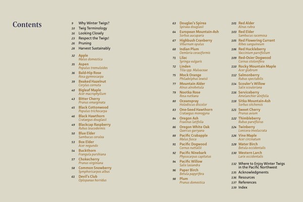 MB_WinterTwigs_SampleSpreads-1.jpg