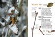 MB_WinterTwigs_SampleSpreads-2.jpg