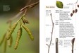 MB_WinterTwigs_SampleSpreads-3.jpg