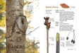 MB_WinterTwigs_SampleSpreads-4.jpg