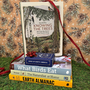 Woodland Wonders Holiday Gift Box