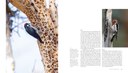 woodpecker-marketing-spreads-2.jpg