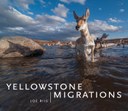 Yellowstone Migrations
