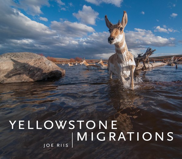 YellowstoneMigrations_Final_WEB.jpg