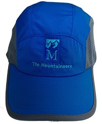 Performance Hat - Blue and Gray
