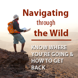 Navigating Through the Wild