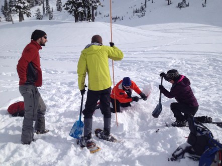 Avalanche Safety Courses