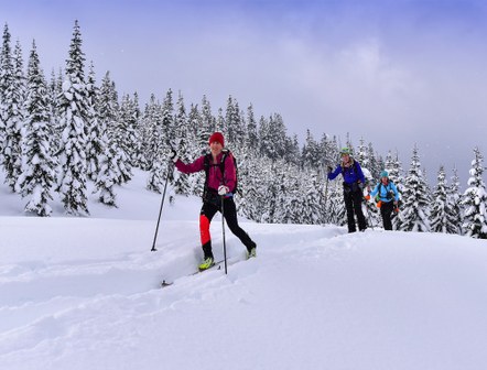 Cross-Country Skiing Courses