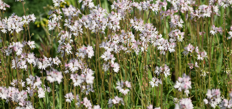 Give Today *to transform lives and protect our natural world*