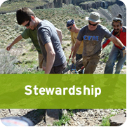 Stewardship 181px