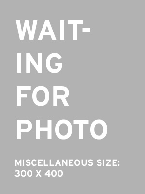 Placeholder 300 x 400