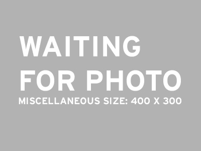 Placeholder 400 x 300