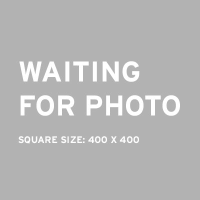 Placeholder 400 x 400