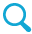 Magnifying Glass Icon