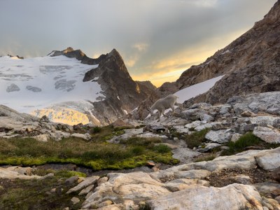 Basic Mountaineering Course - Bellingham - 2026