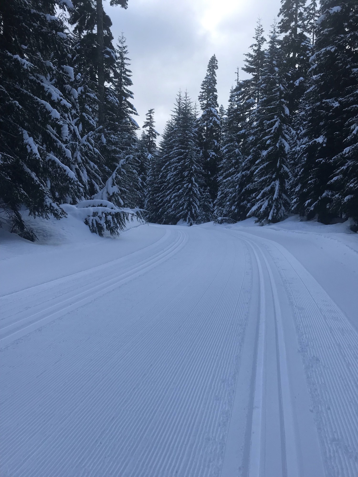 Skate Ski Class Everett 2023 — The Mountaineers
