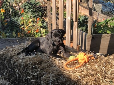 Tow and Incident Management Clinic