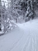 Avalanche Classroom Session