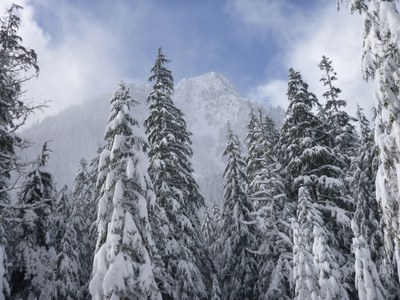 Overnight Field Trip