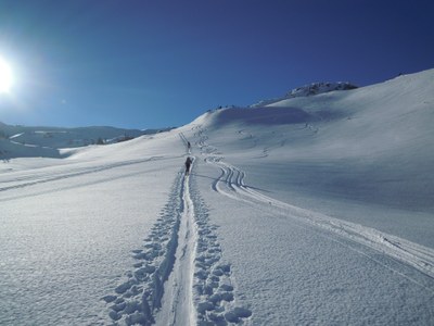 Backcountry Ski & Snowboard Course - Everett - 2020