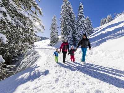 Youth & Family Winter Hike