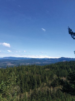 Intro to Trail Running: Backcountry Field Trip - Chuckanut Ridge
