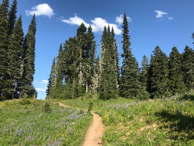 Introduction to Trail Running: Backcountry - 2026