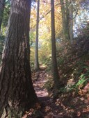 Intro to Frontcountry Trail Running - Anti-Aircraft Peak