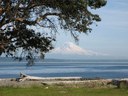 Intro to Frontcountry Trail Running - Blake Island