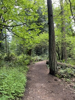 Intro to Frontcountry Trail Running - Lake to Lake Trail and Greenway