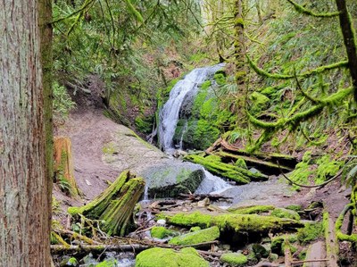 Intro to Trail Running: Frontcountry - Running on Technical Terrain - Cougar Mountain: Sky Country Trailhead