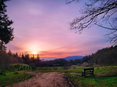 Intro to Trail Running: Frontcountry - Trail and Group Etiquette