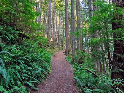 Intro to Trail Running: Frontcountry - Uphill and Downhill Running