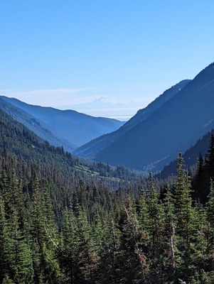 Classroom Session - Online Classroom