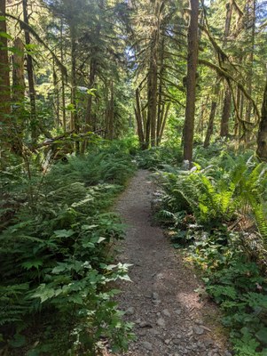 Introduction to Trail Running Racing - 25K - 2026