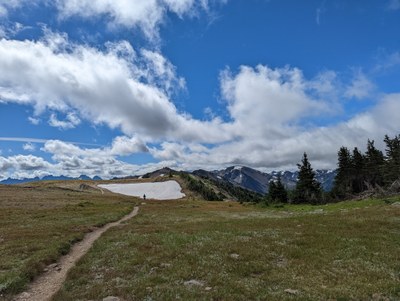 Introduction to Trail Running Racing - 25K - 2025