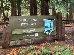 December Winter Conditioning Runs: 4-6 miles - Bridle Trails State Park