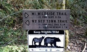 January Winter Conditioning Runs: 5-7 miles - Cougar Mountain: Red Town Trailhead