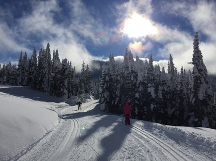 Foothills Cross-country Skiing Committee