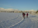 Foothills Cross-country Skiing Committee