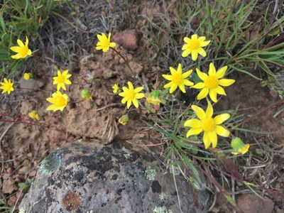 Shoulder-Season Backpacking Field Trip - Middle Fork Snoqualmie River