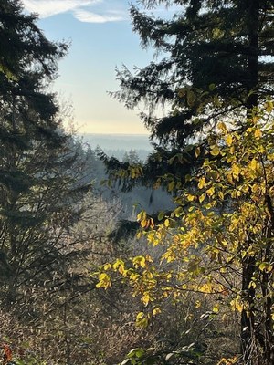 April Hikes:  2.5  - 5 miles, 250 - 1,000 feet gain - Far Country Falls