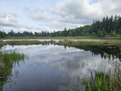 April Hikes:  2.5  - 5 miles, 250 - 1,000 feet gain - Moss Lake Natural Area