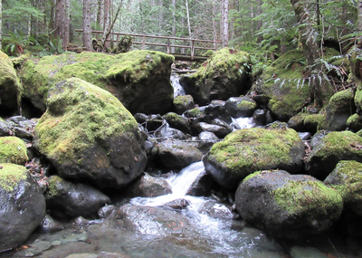 August Hikes: 4 miles to 7 miles, 600 to 2,000 feet gain - Big Creek Loop