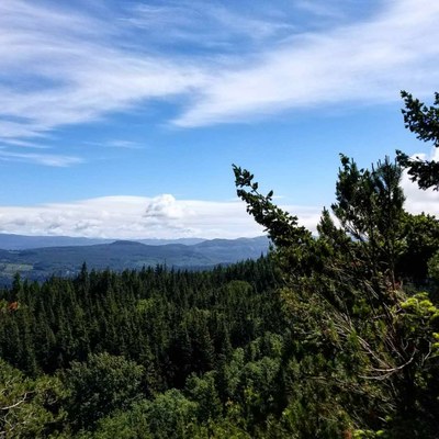 August Hikes: 4 miles to 7 miles, 600 to 2,000 feet gain - Chuckanut Ridge