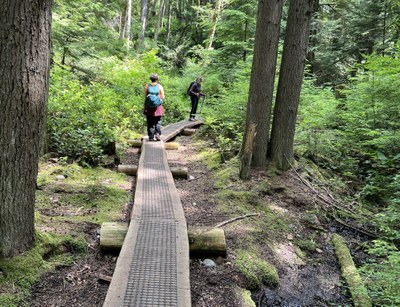 August Hikes: 4 miles to 7 miles, 600 to 2,000 feet gain - Cougar Mountain: Jim Whittaker Wilderness Peak Trailhead
