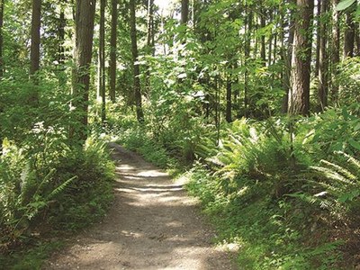 April Hikes:  2.5  - 5 miles, 250 - 1,000 feet gain - Bridle Trails State Park