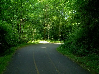 April Hikes:  2.5  - 5 miles, 250 - 1,000 feet gain - Des Moines Creek Park & Trail