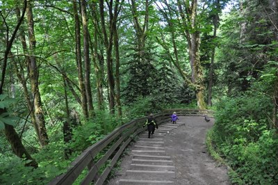April Hikes:  2.5  - 5 miles, 250 - 1,000 feet gain - Meadowdale Beach Park