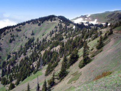 May Hikes: 3 to 5.5 miles, 300 to 1,250 feet gain - Hurricane Hill